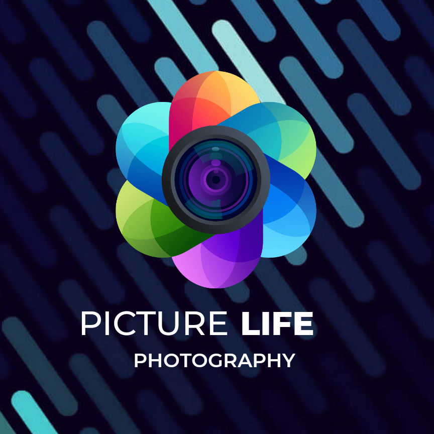 Picture Life Photography Film & Marketing Studio