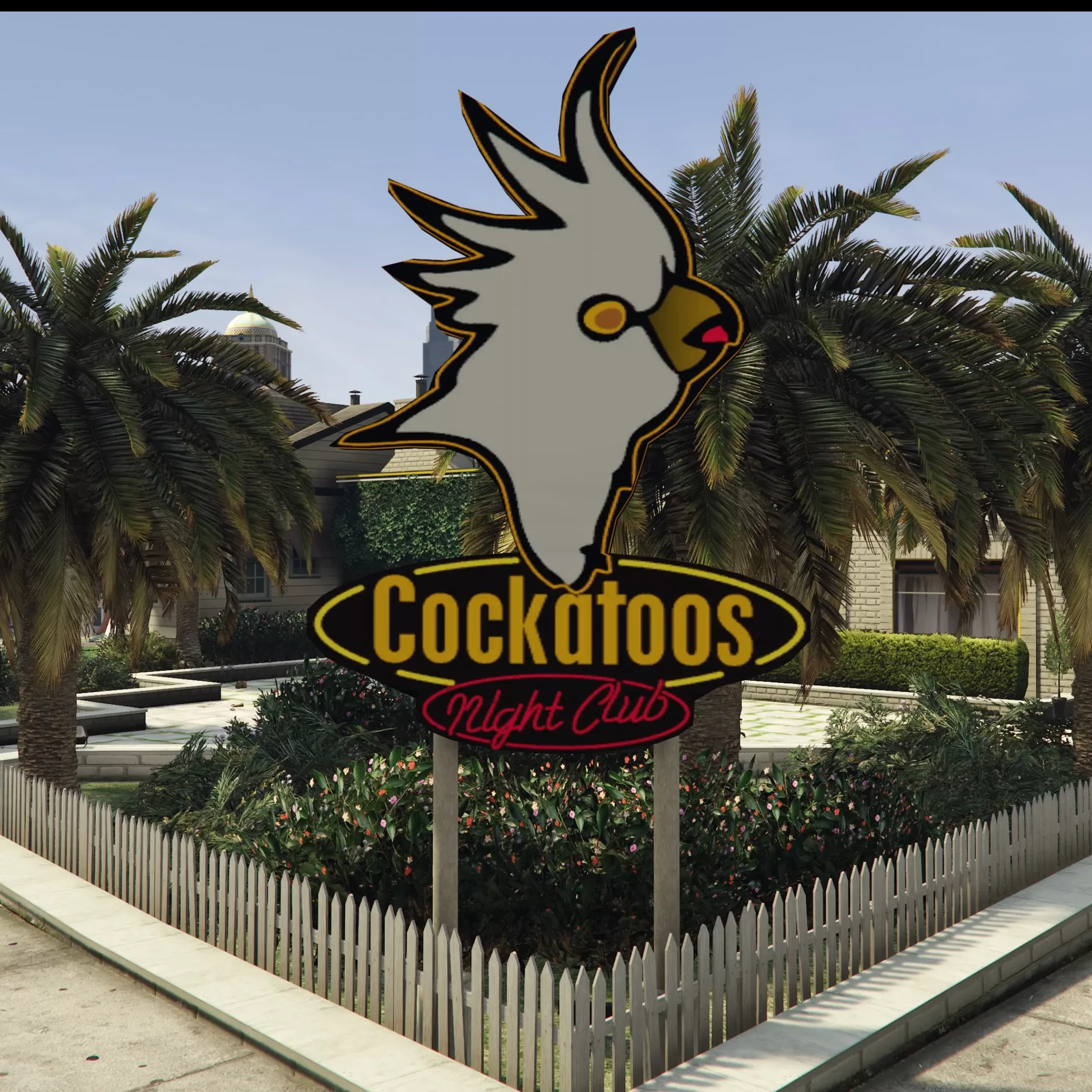 ᴄᴏᴄᴋᴀᴛᴏᴏꜱ ɴɪɢʜᴛᴄʟᴜʙ